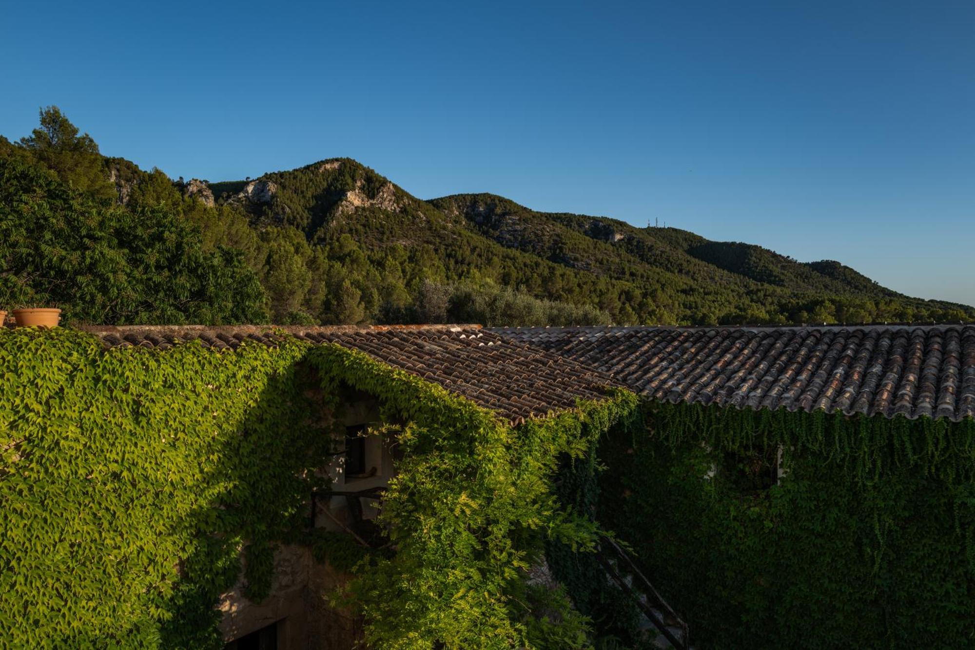 Agroturismo Son Boronat Calvia  Buitenkant foto
